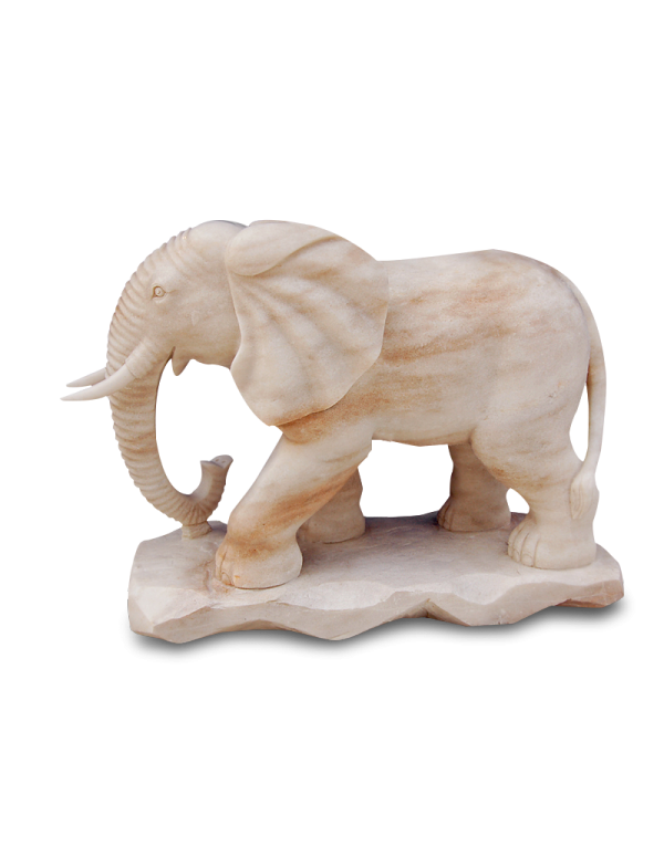 Elephants - Jumbo