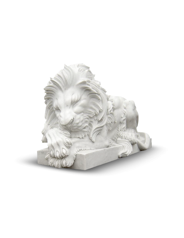 Lions - Simba