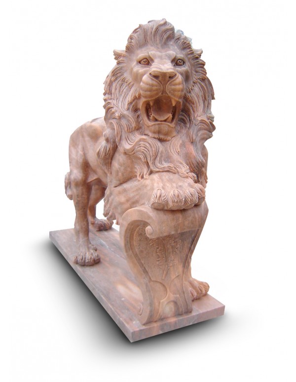 Lions - Kovu