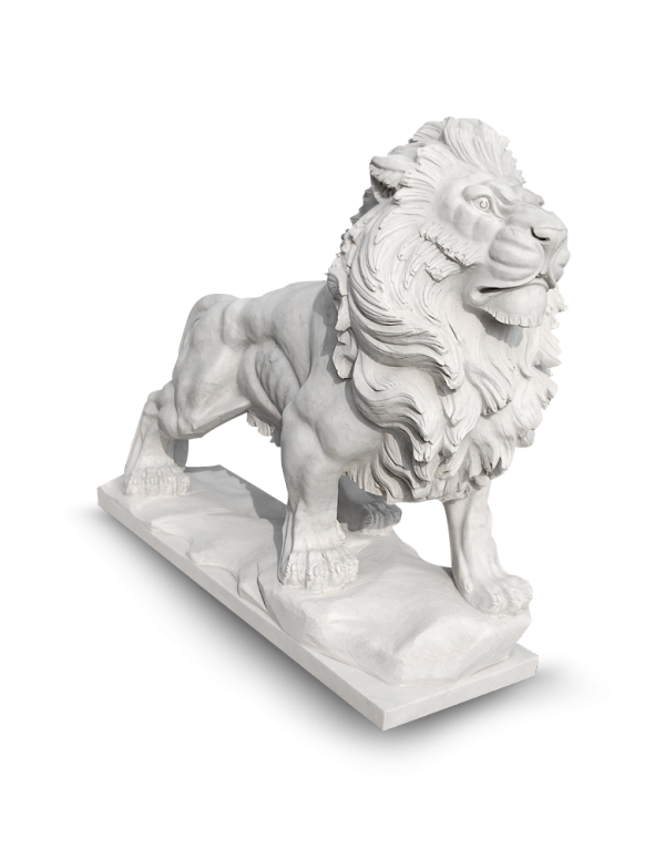 Lions - Sarabi