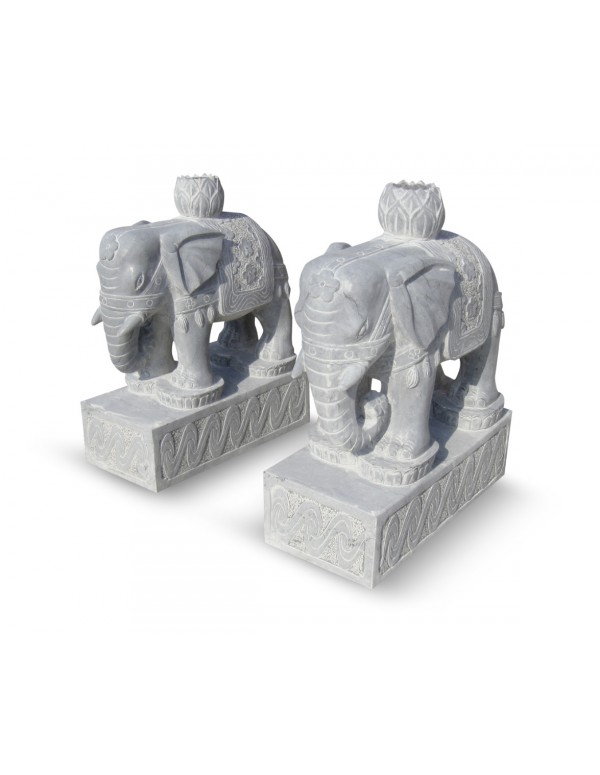 Elephants - Surus