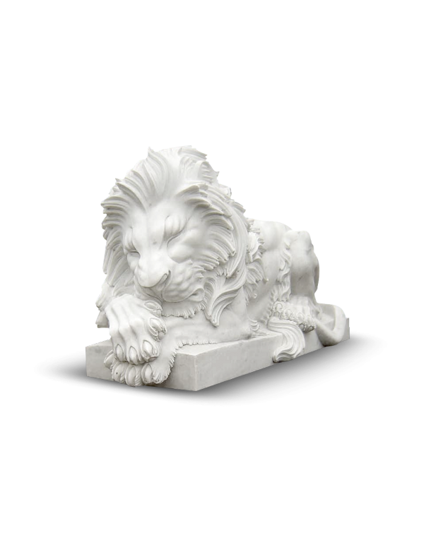 Lions - Simba